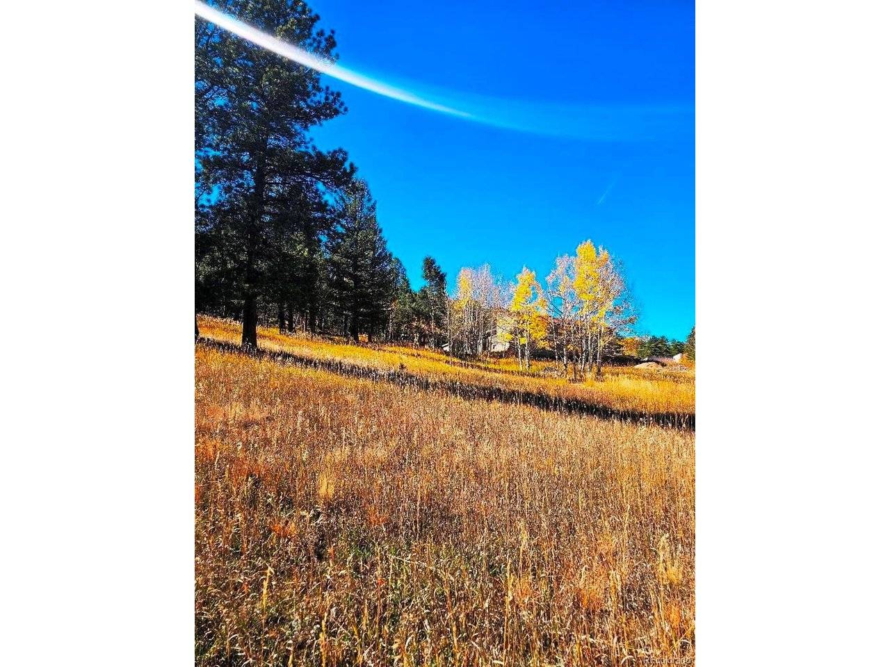 1504 County Road 43, Bailey, CO 80421