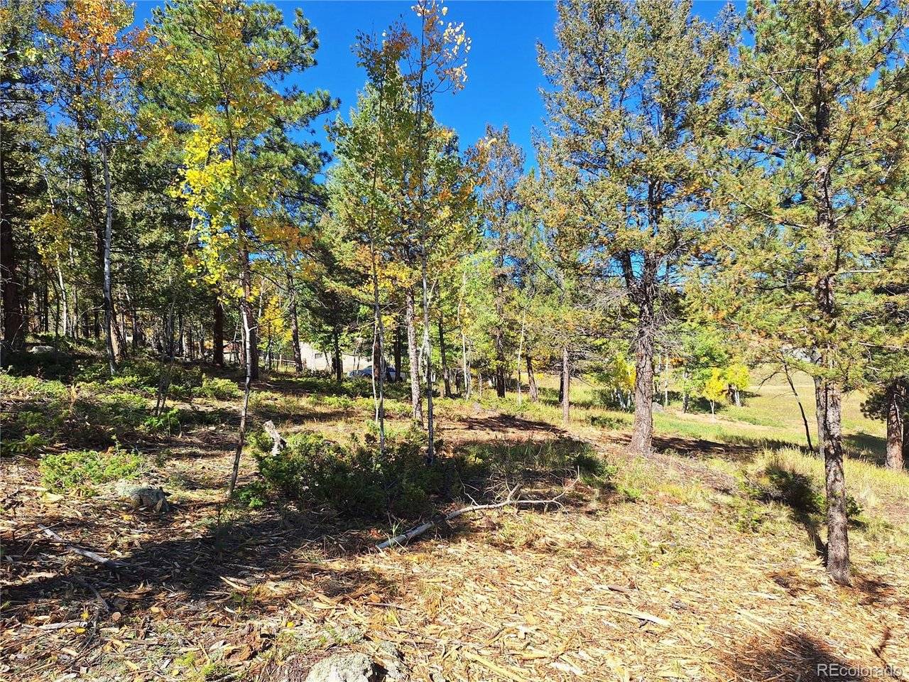 1504 County Road 43, Bailey, CO 80421