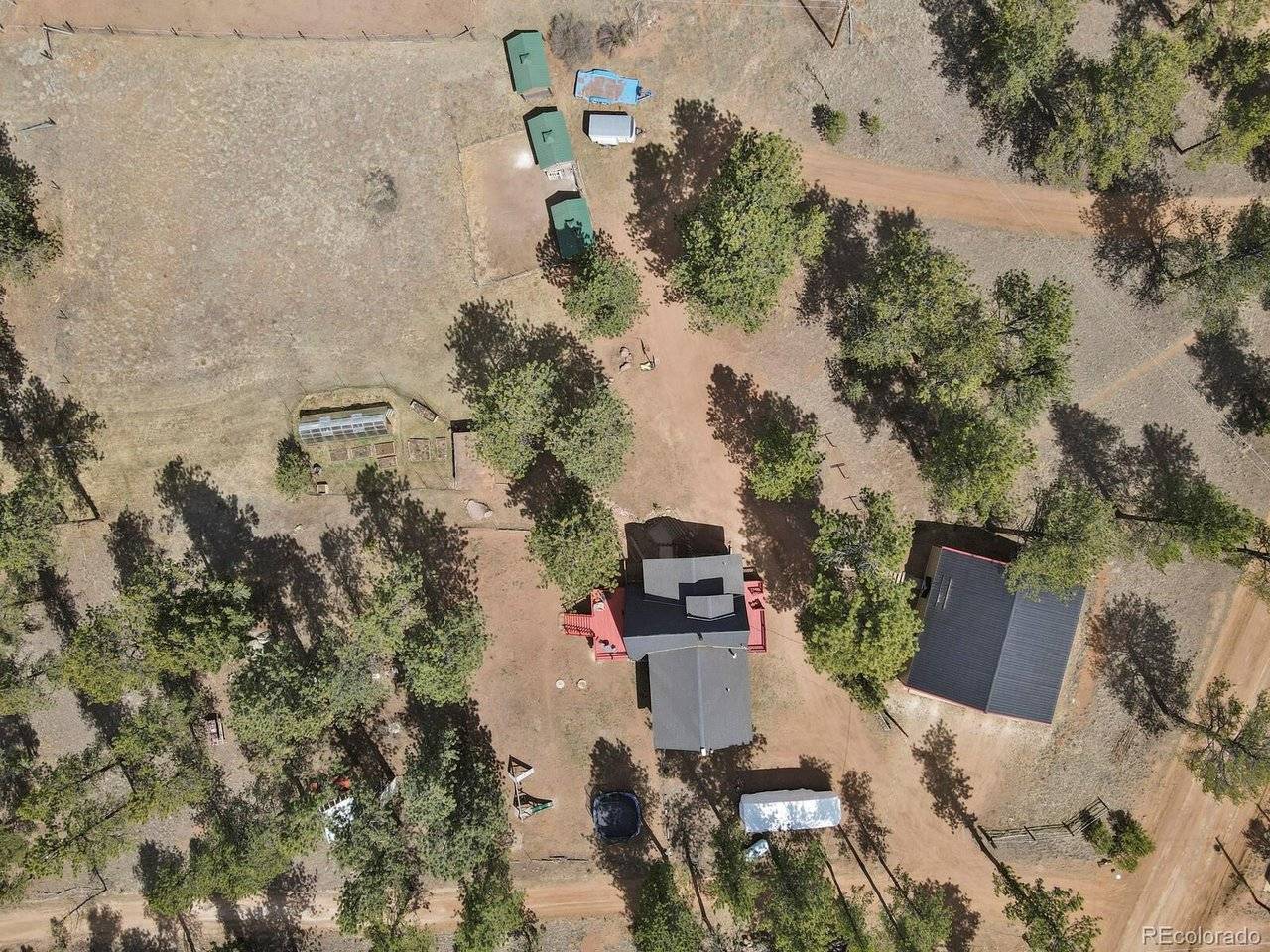 881 Trail Creek, Lake George, CO 80827