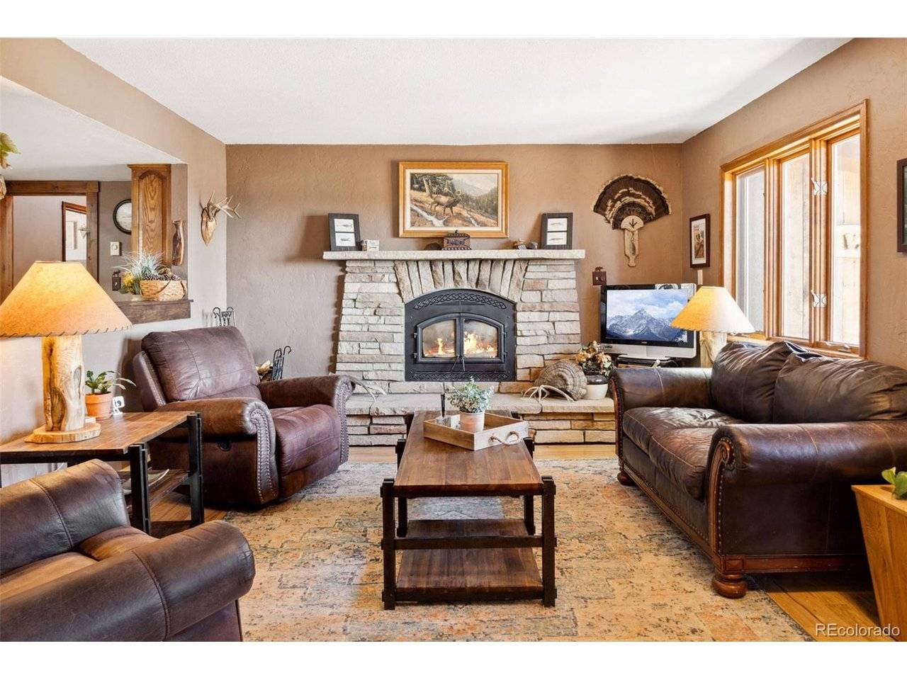 96 County Road 7, Fairplay, CO 80440
