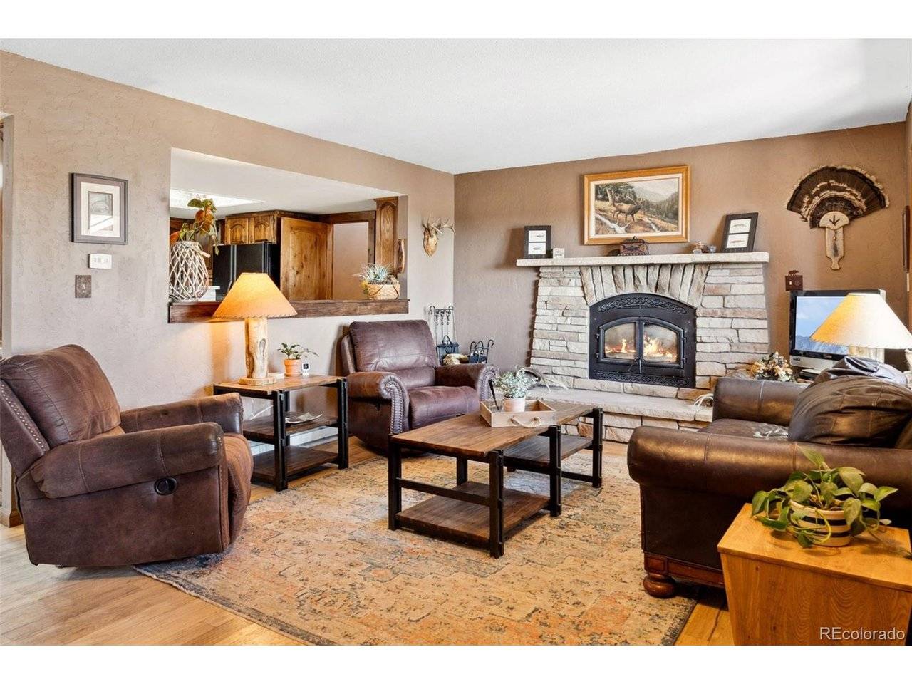 96 County Road 7, Fairplay, CO 80440