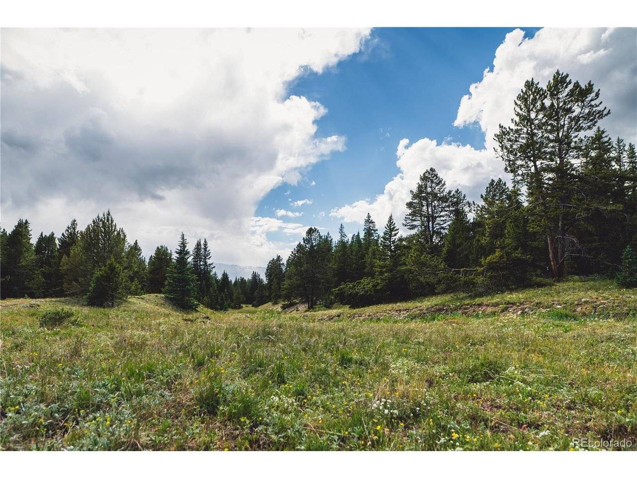 5347 Monitor, Leadville, CO 80461