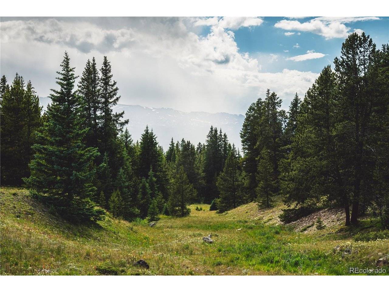 5347 Monitor, Leadville, CO 80461