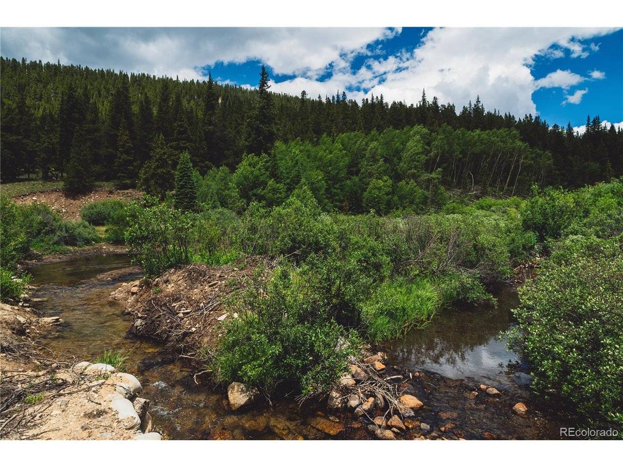5347 Monitor, Leadville, CO 80461