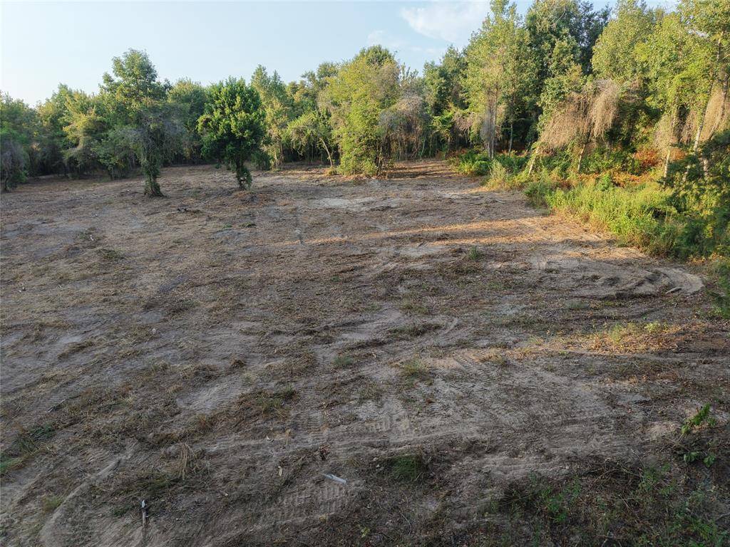TBD County Rd 3211, Pittsburg, TX 75686