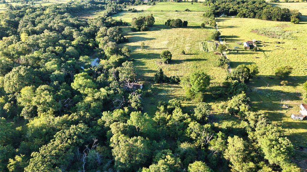 0 AN County Road 2605, Tennessee Colony, TX 75861