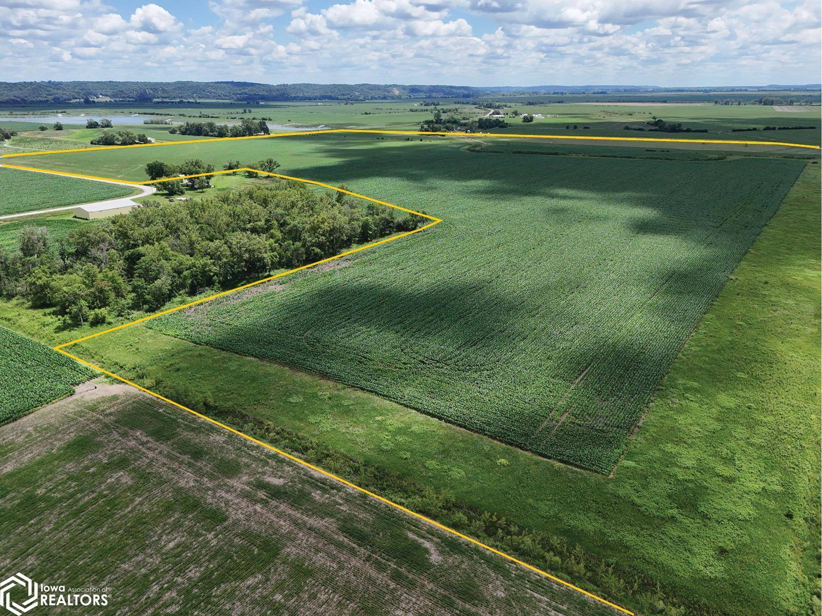 Allis Rd., Pacific Junction, IA 51503