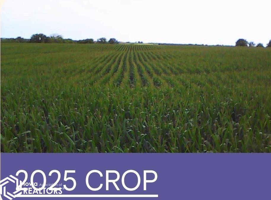 80 325th AVE, Ellston, IA 50074