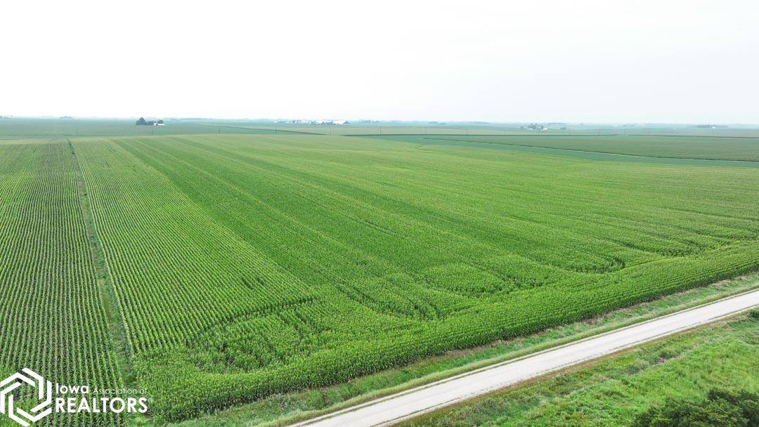 28378 S Wells, Conrad, IA 50621