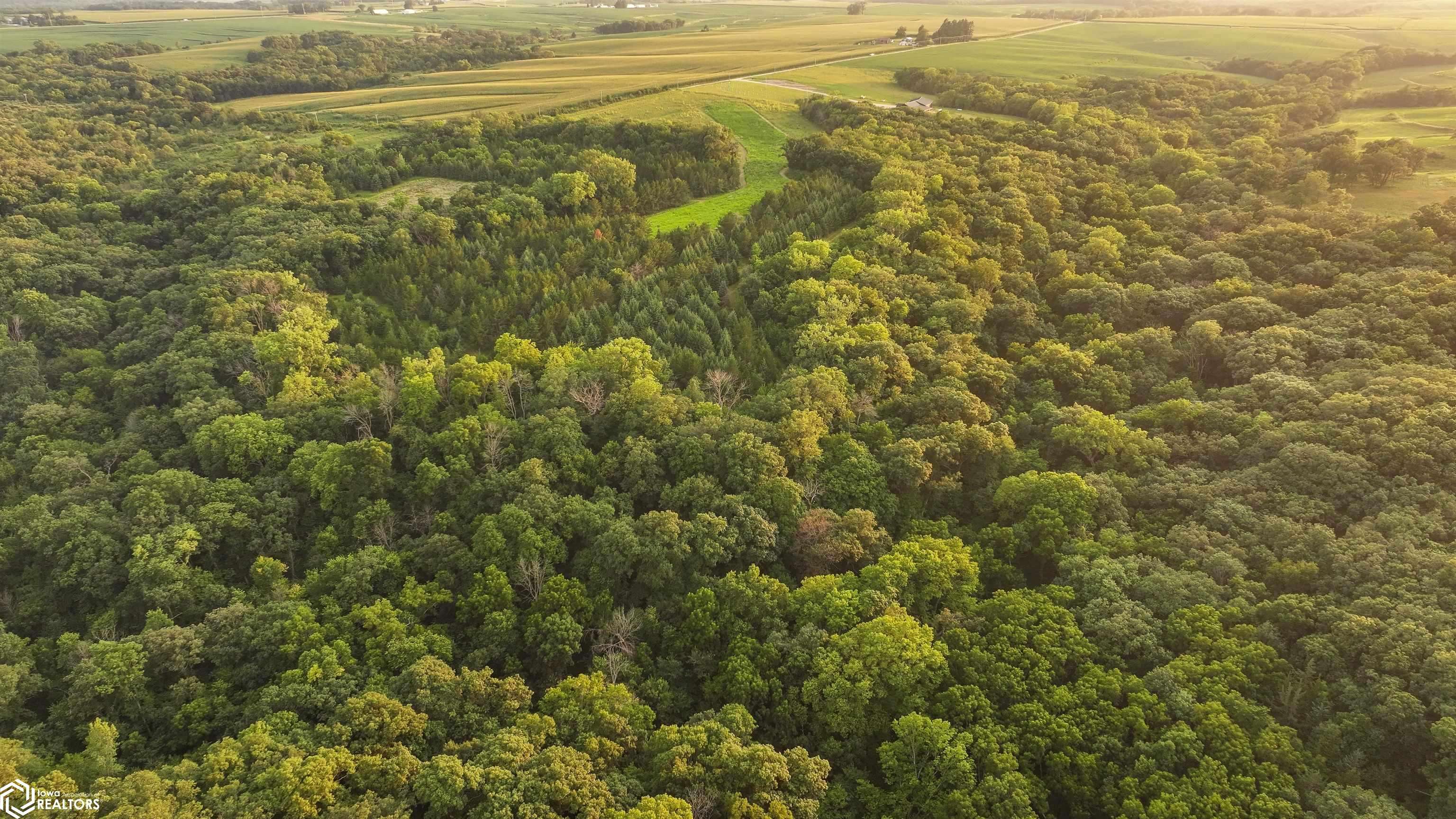 TBD 272nd Ln, Stuart, IA 50250