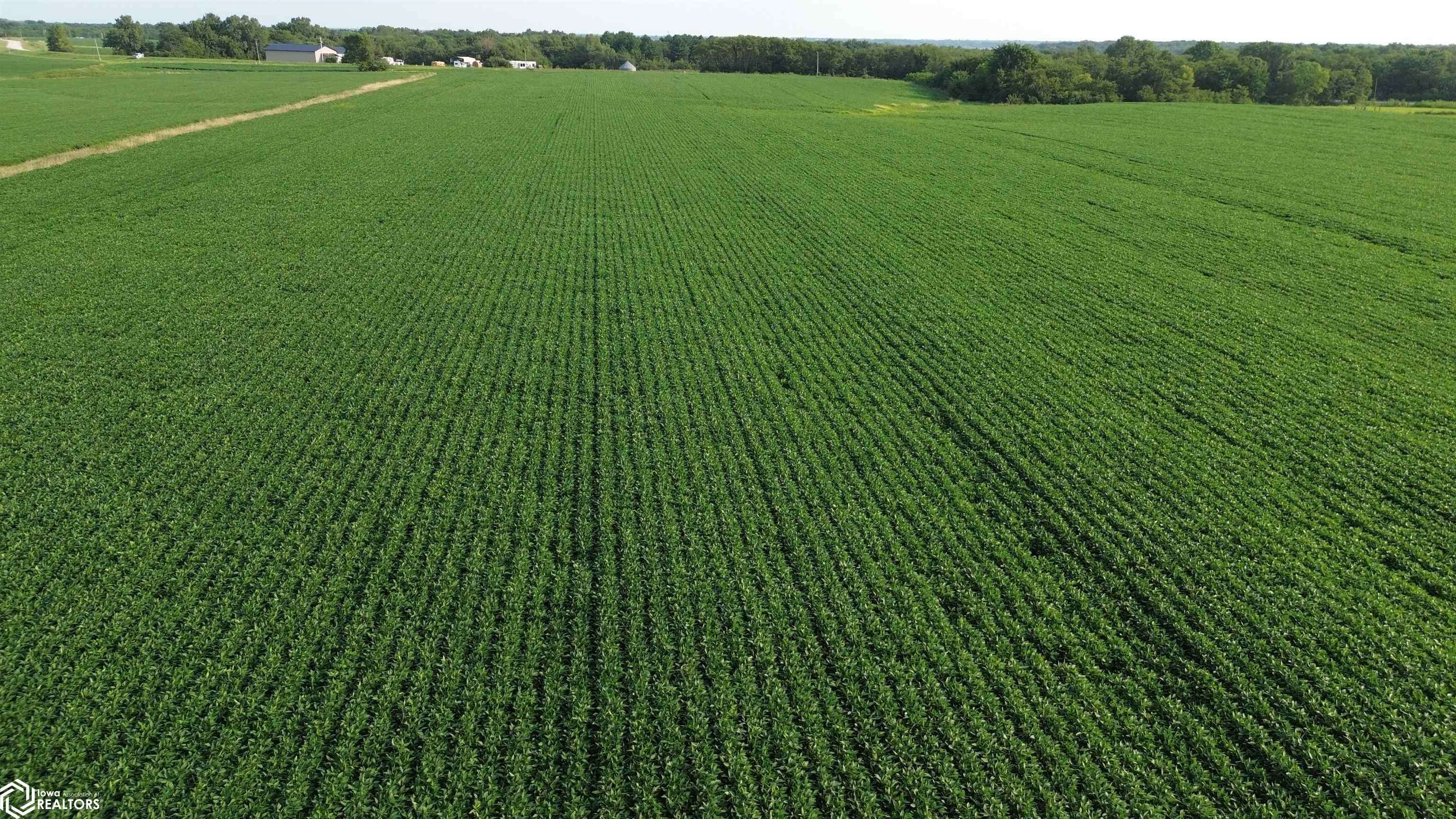 109 Acres 200th AVE, Moravia, IA 52571