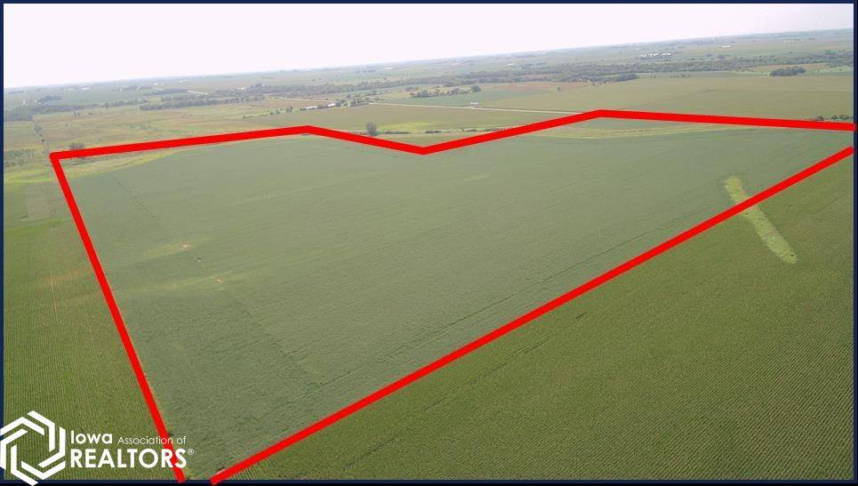 Tulip Avenue, Sheffield, IA 50475