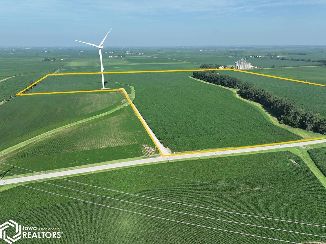 South RD, Waynesville East, IL 61778