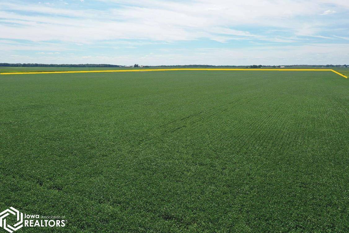 1400th RD, Brocton, IL 61917