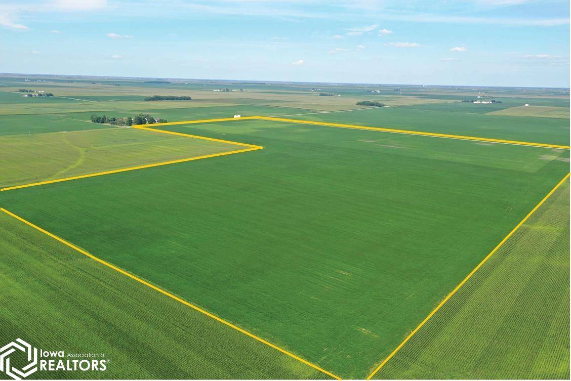 1400th RD, Brocton, IL 61917