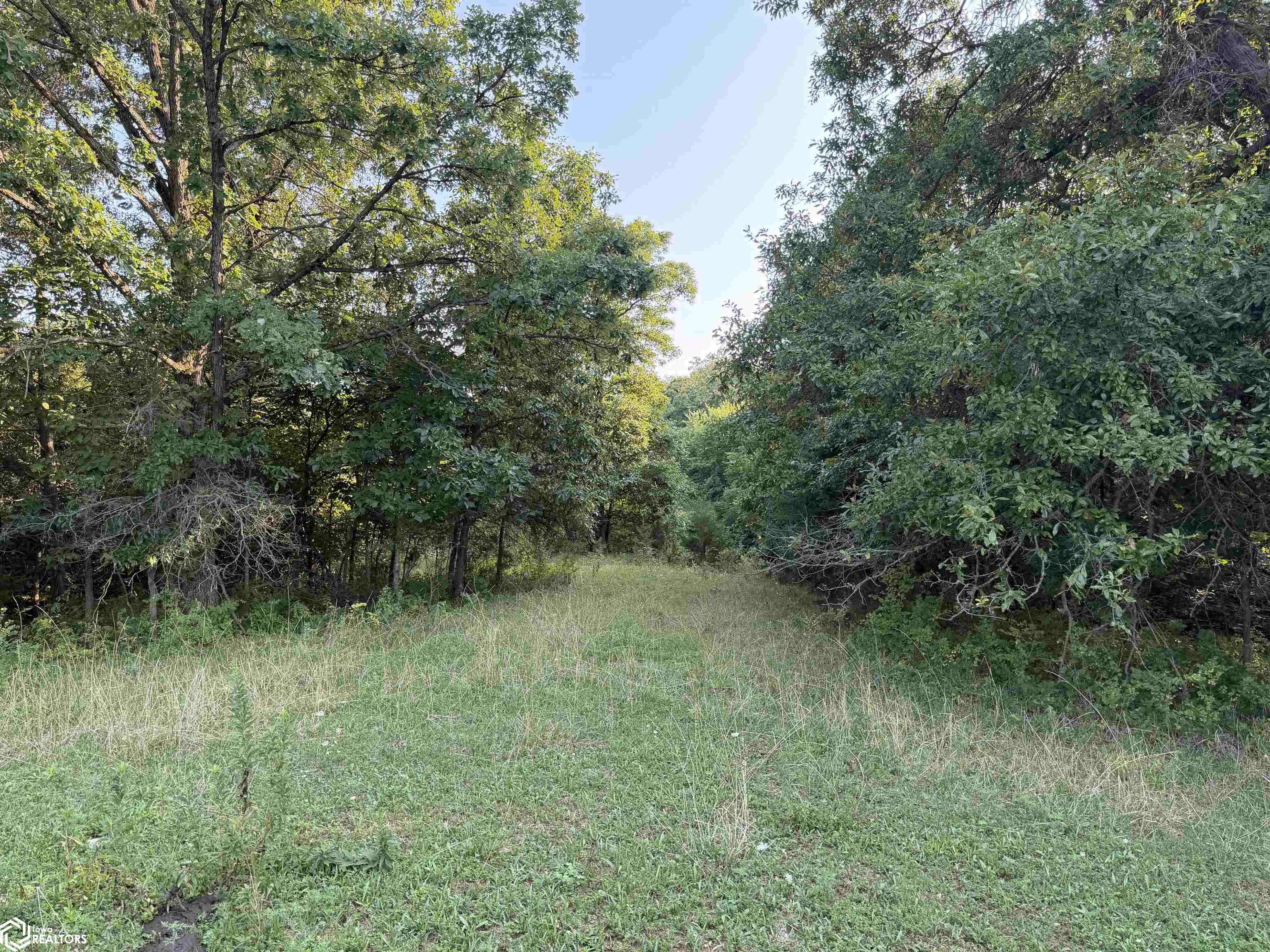 TBD Route V64, Douds, IA 52551