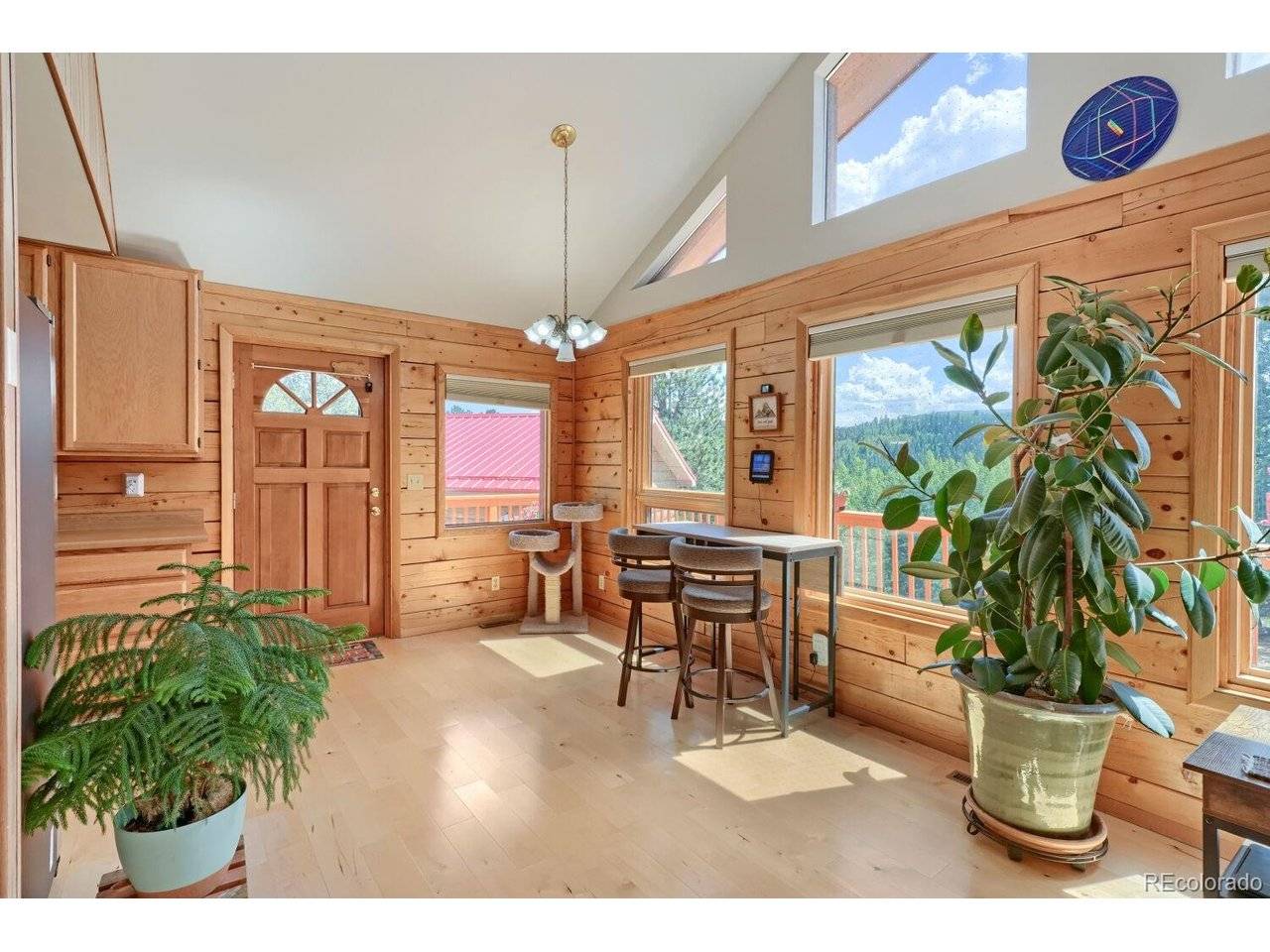 16 Mesa, Bailey, CO 80421