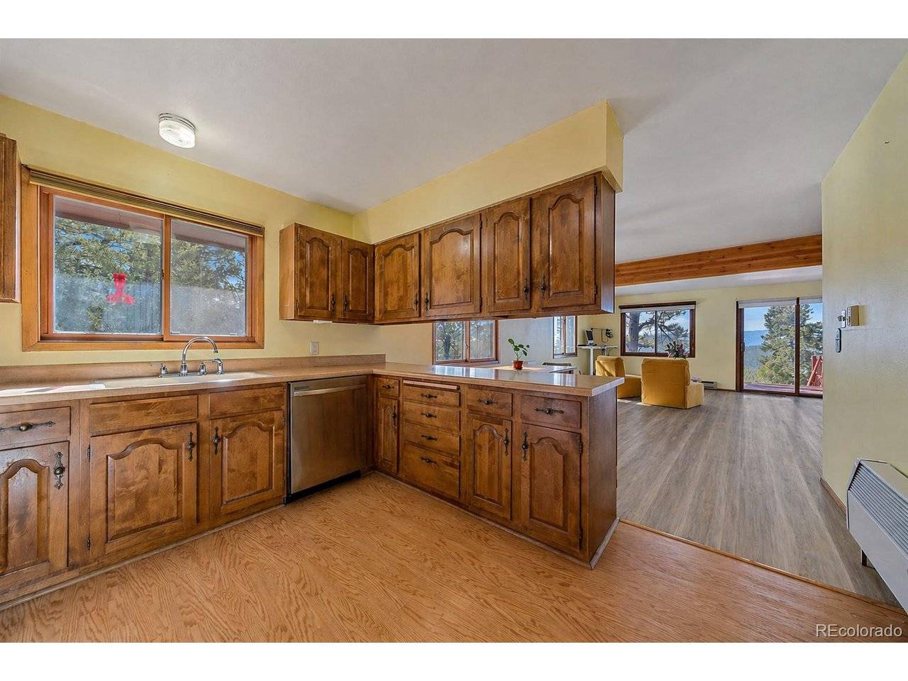 237 Road B, Pine, CO 80470