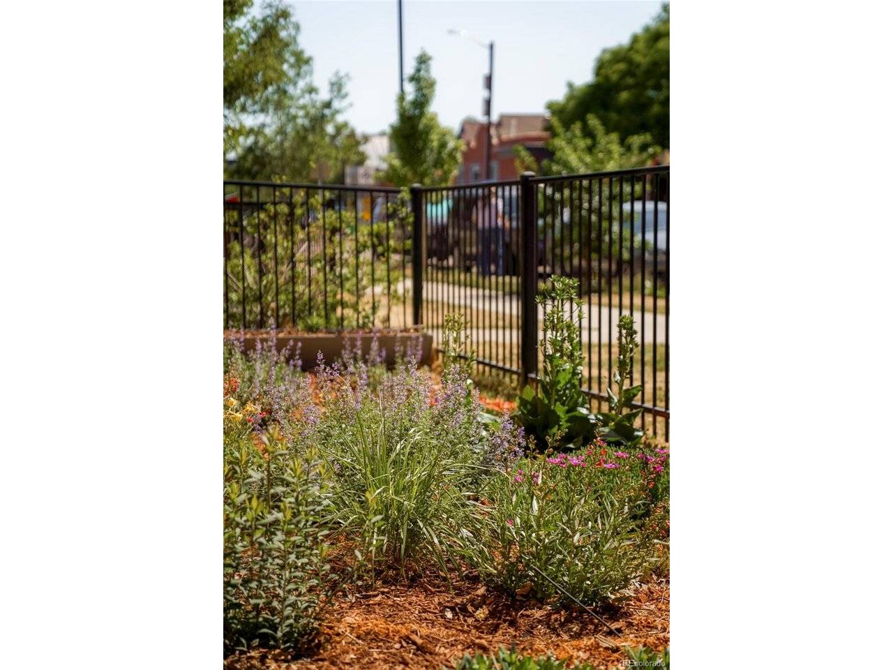 2525 Arapahoe #RD114, Denver, CO 80205