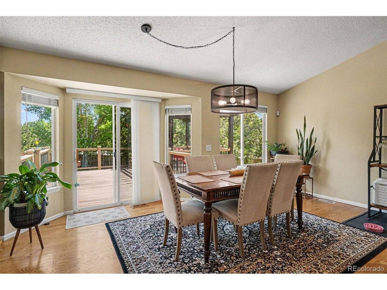 461 Webber, Erie, CO 80516