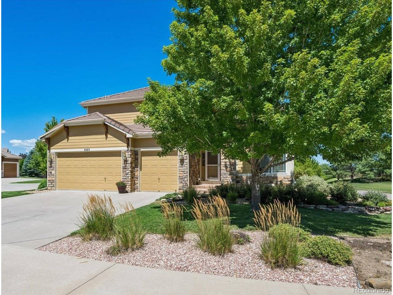 6483 Umber, Arvada, CO 80007