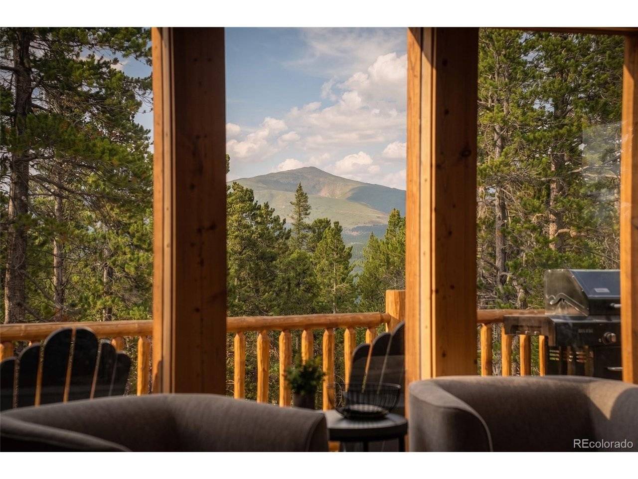 1662 Bobcat, Fairplay, CO 80440