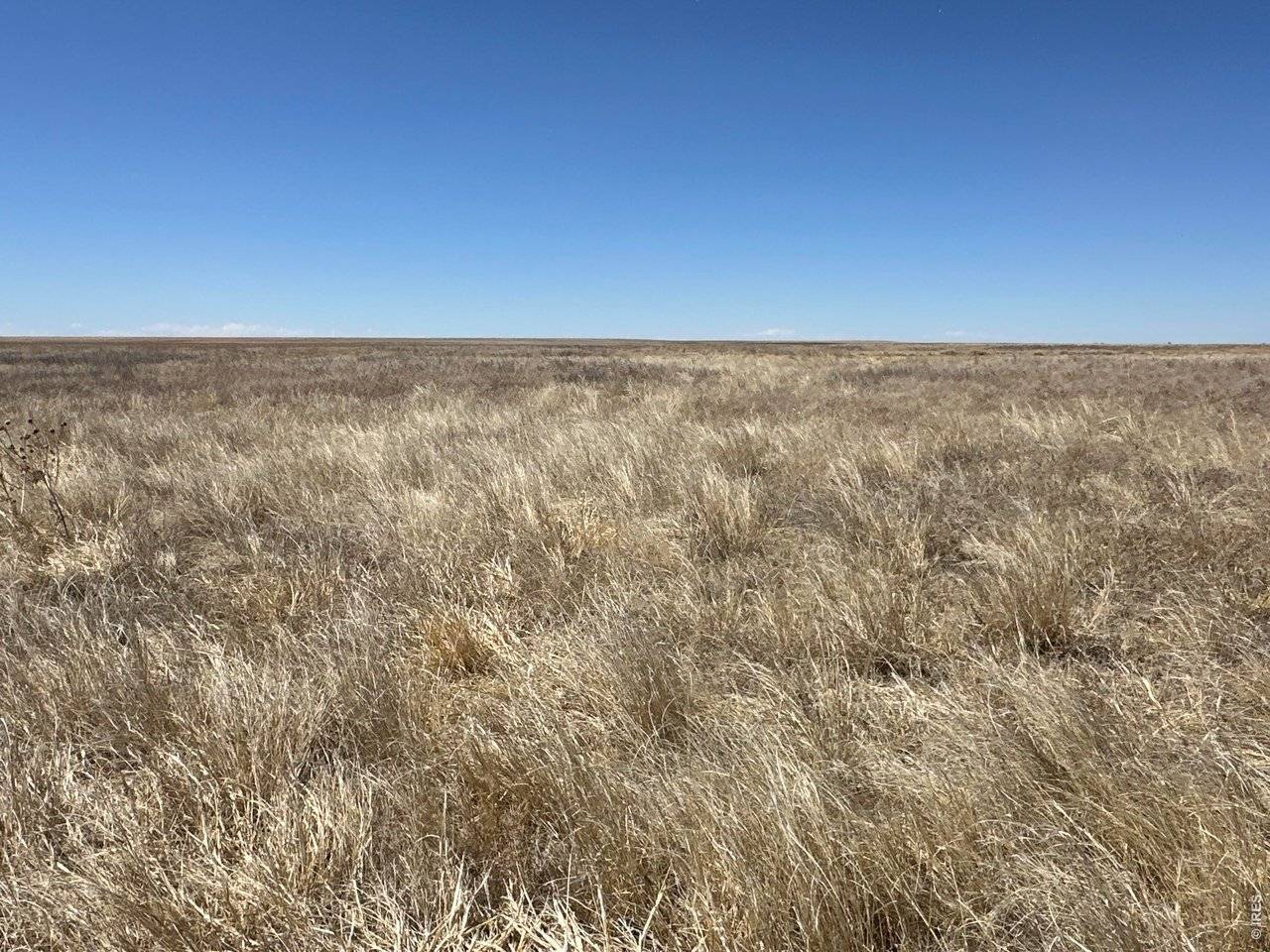 12345 Road 22, Haswell, CO 81045