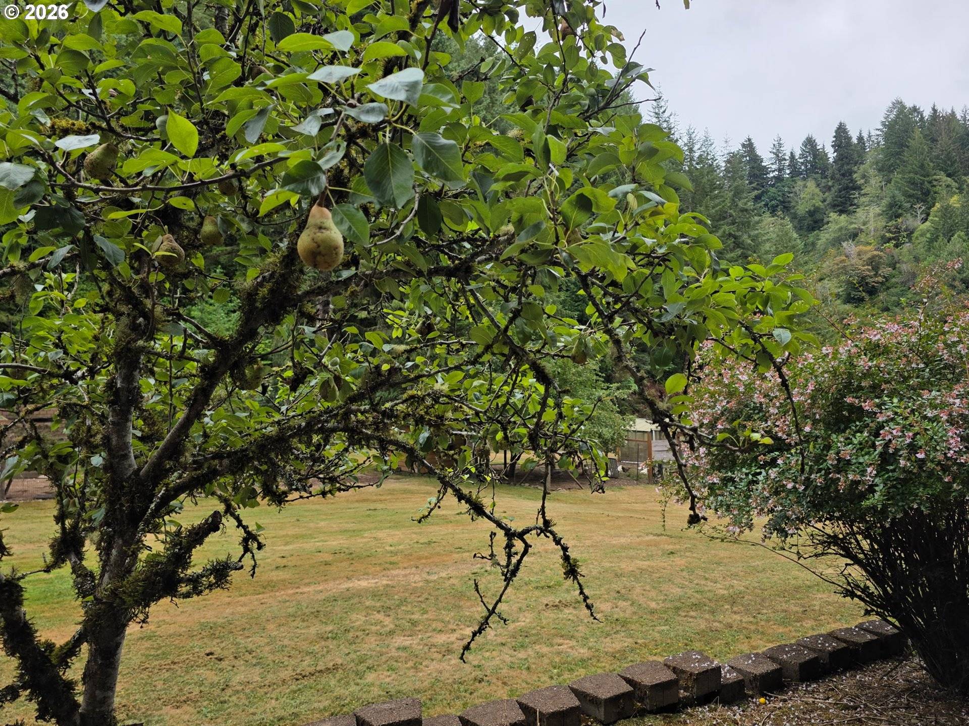 1860 OAR CREEK RD, Reedsport, OR 97467