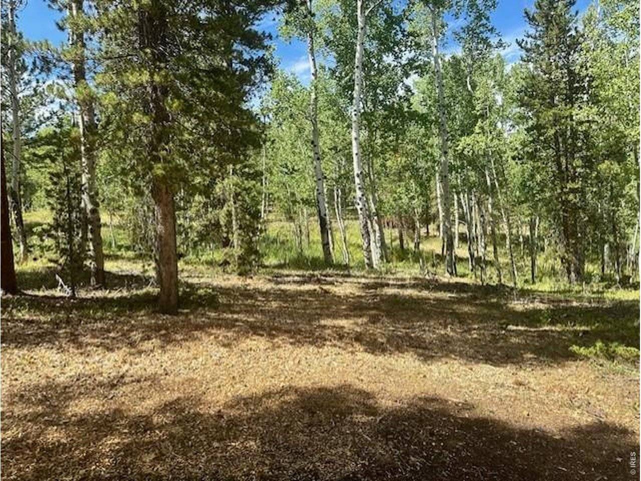 293 Aspen, Black Hawk, CO 80422