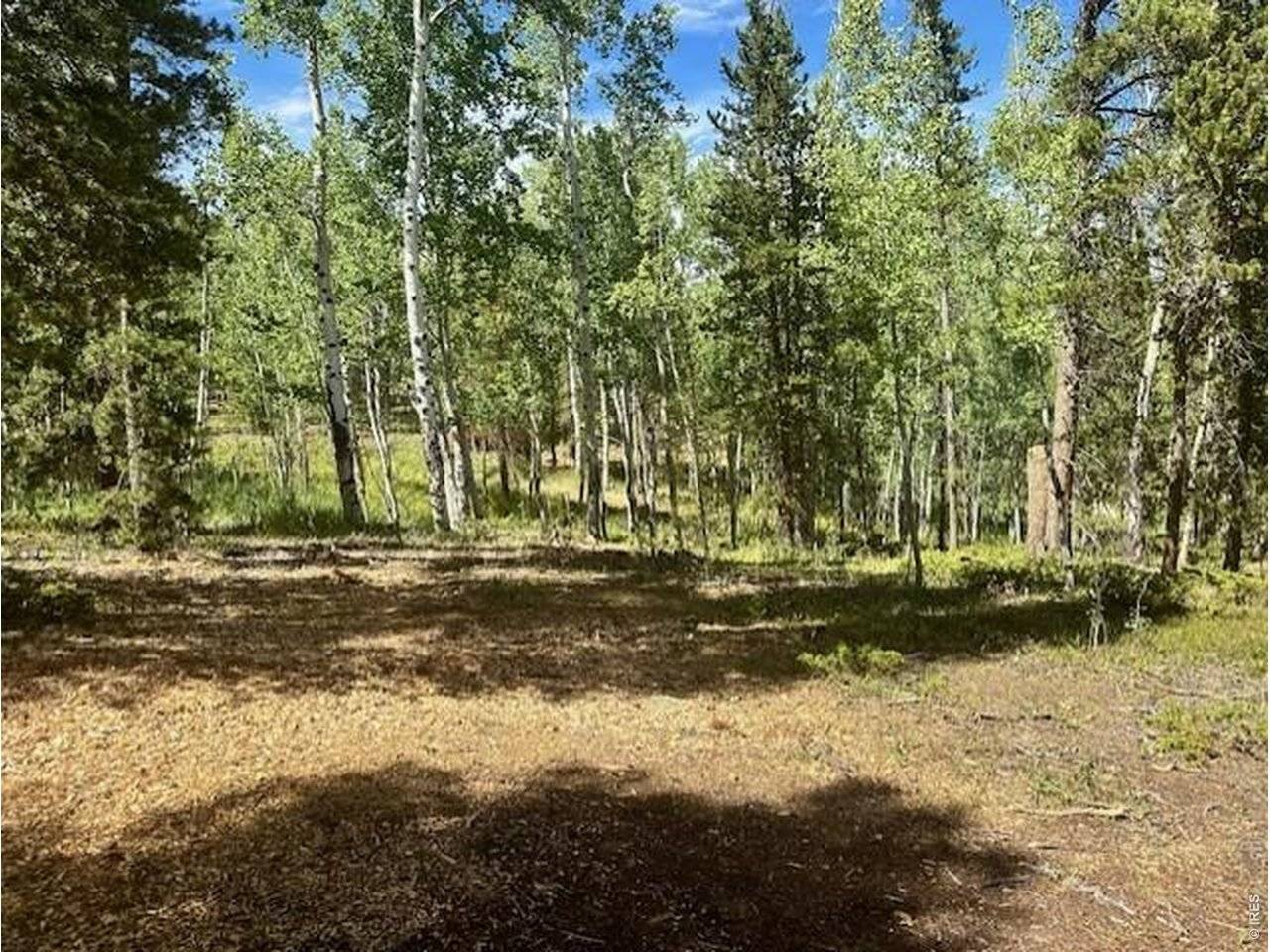 293 Aspen, Black Hawk, CO 80422