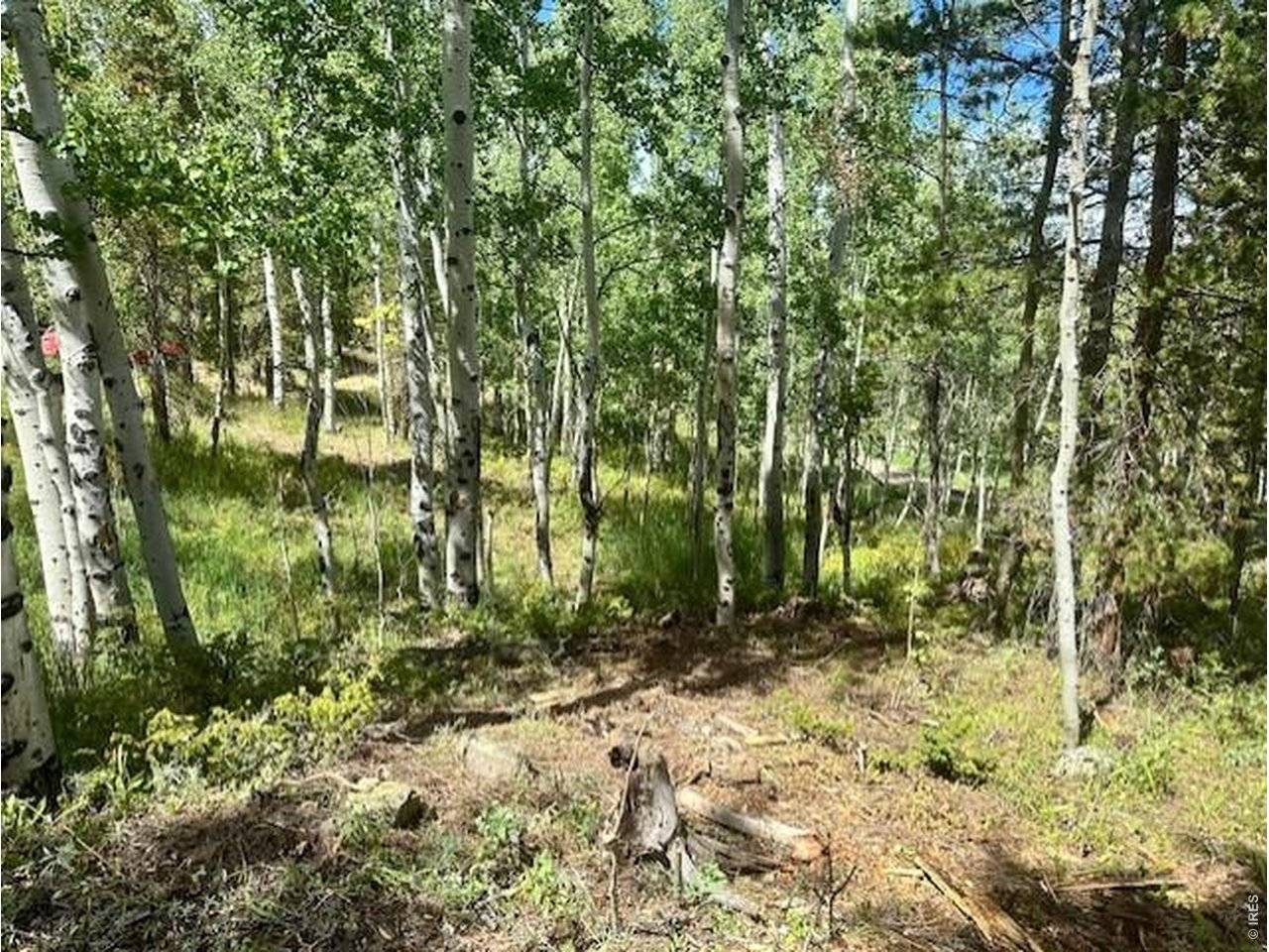 293 Aspen, Black Hawk, CO 80422
