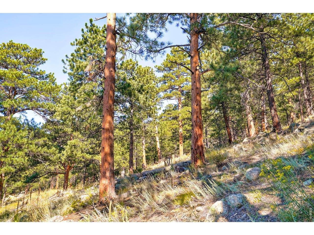 695 Cutter, Boulder, CO 80302