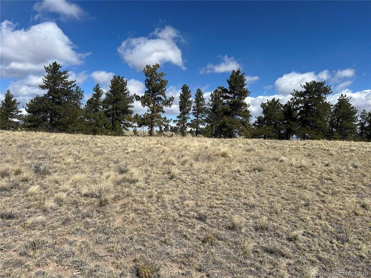 517 Brahma, Hartsel, CO 80449