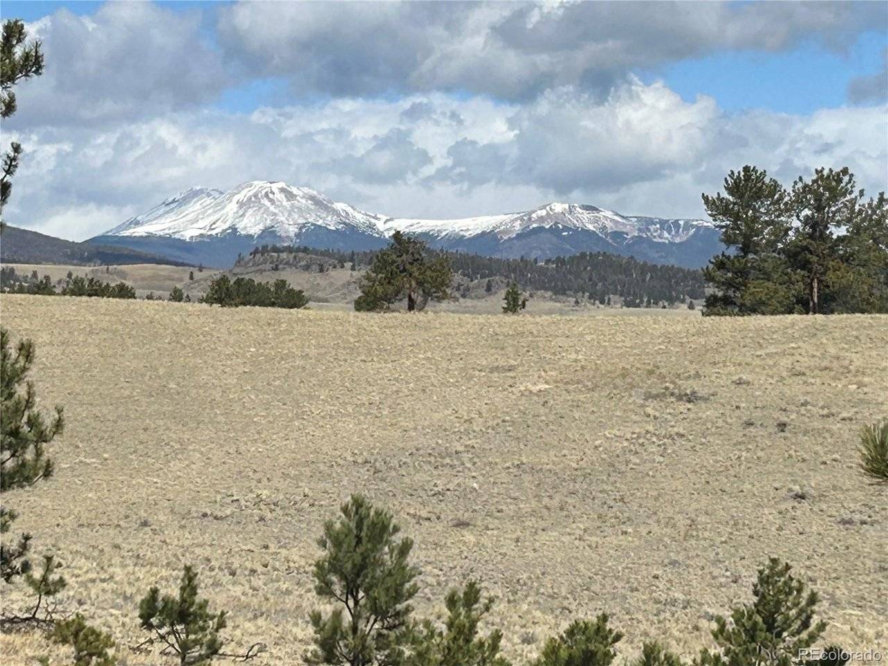 517 Brahma, Hartsel, CO 80449