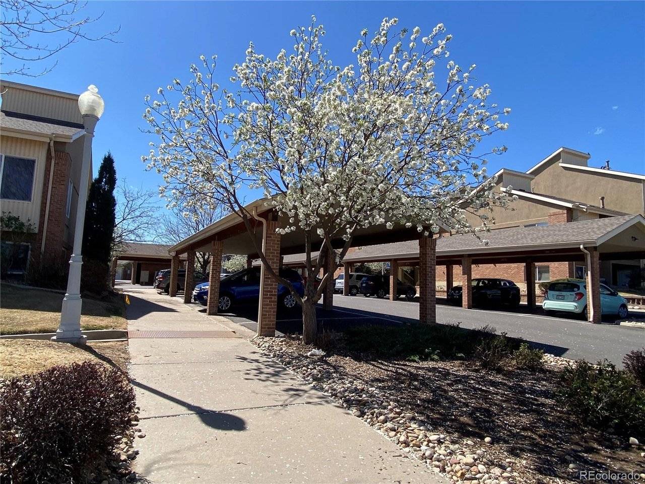 8685 Clay #8685-305, Westminster, CO 80031