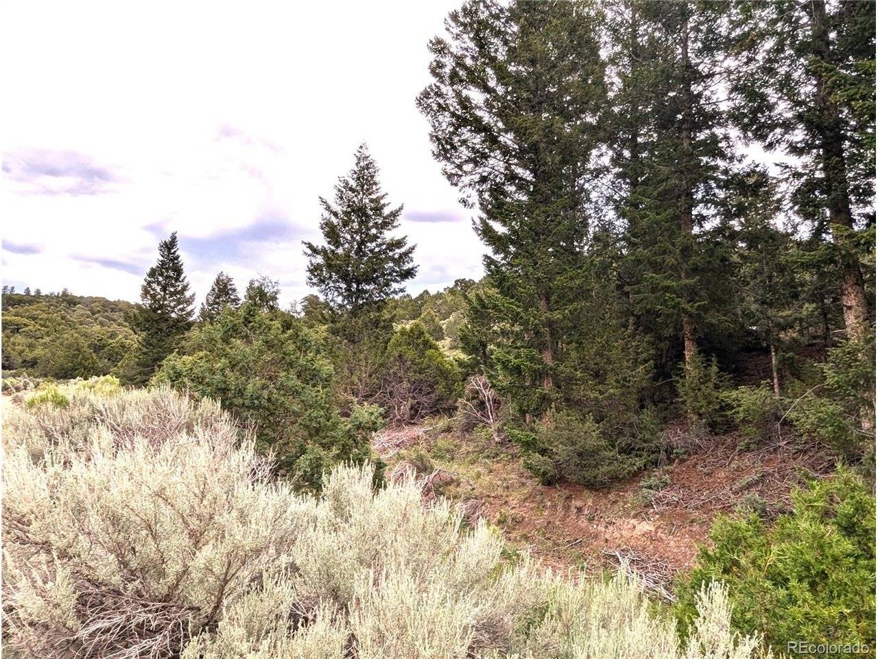 1593 Jaidi, Fort Garland, CO 81133