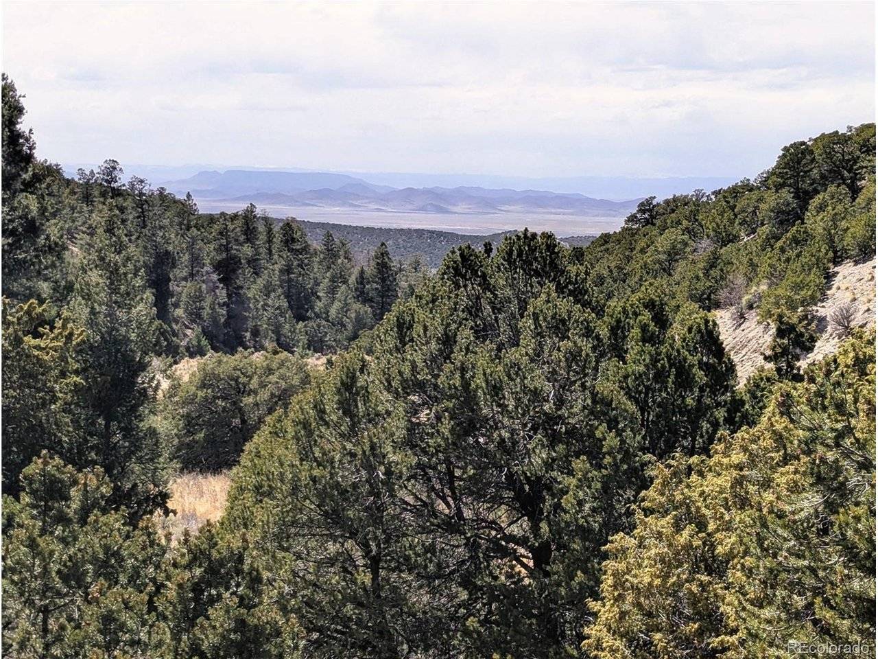 1593 Jaidi, Fort Garland, CO 81133