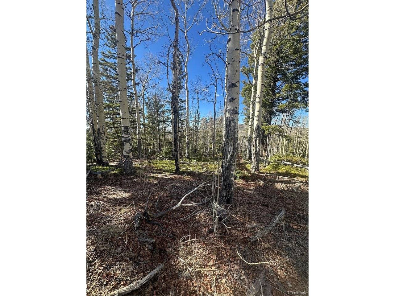 6744 Starkweather, San Luis, CO 81152