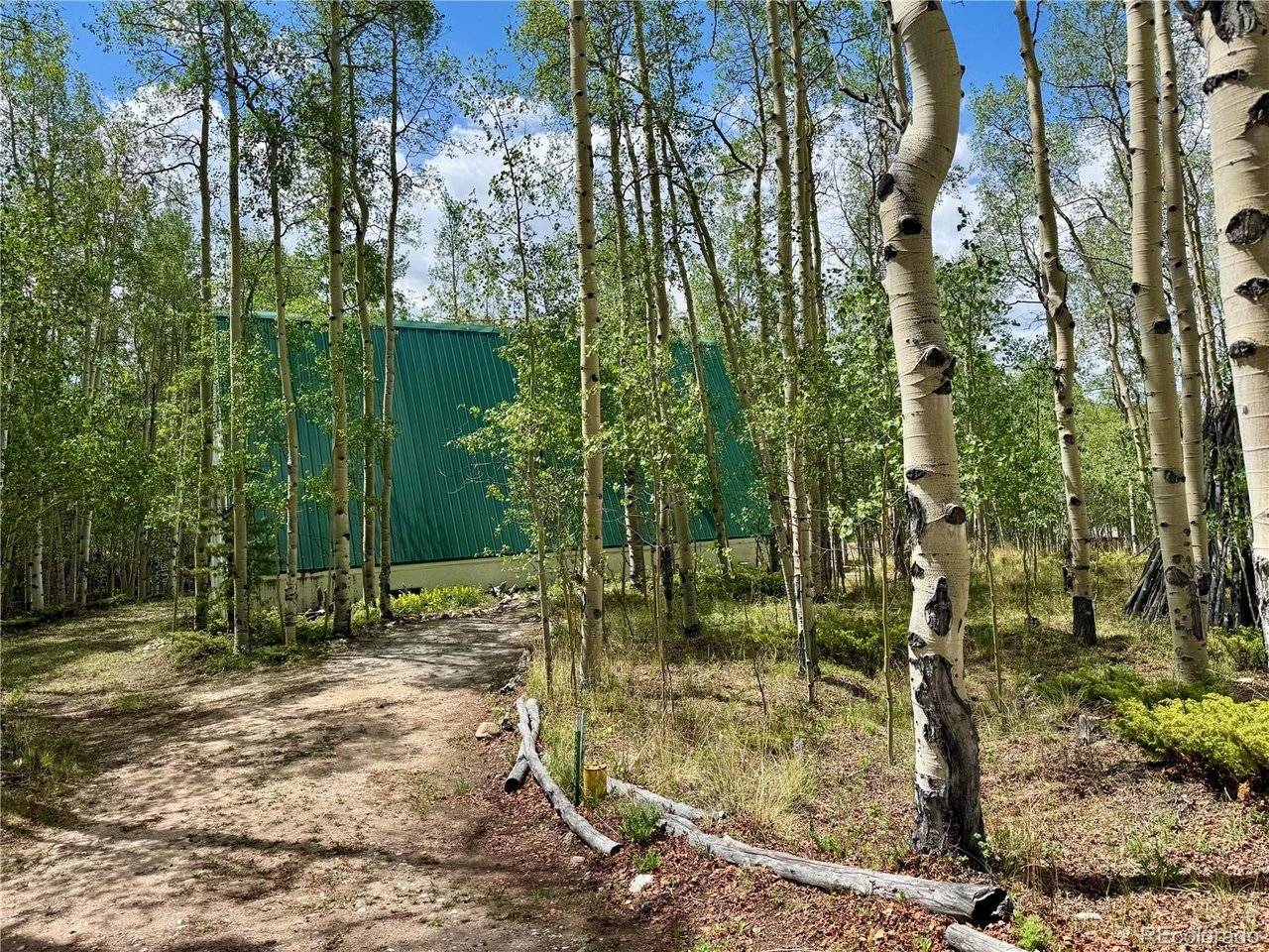 206 Empire, Leadville, CO 80461