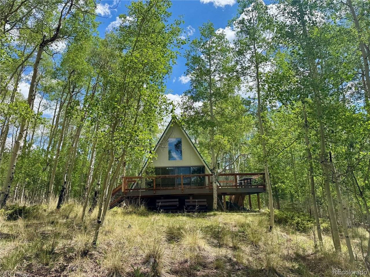206 Empire, Leadville, CO 80461