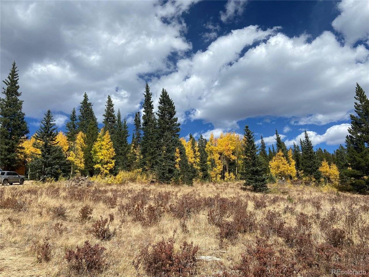 1180 Zebulon, Alma, CO 80420