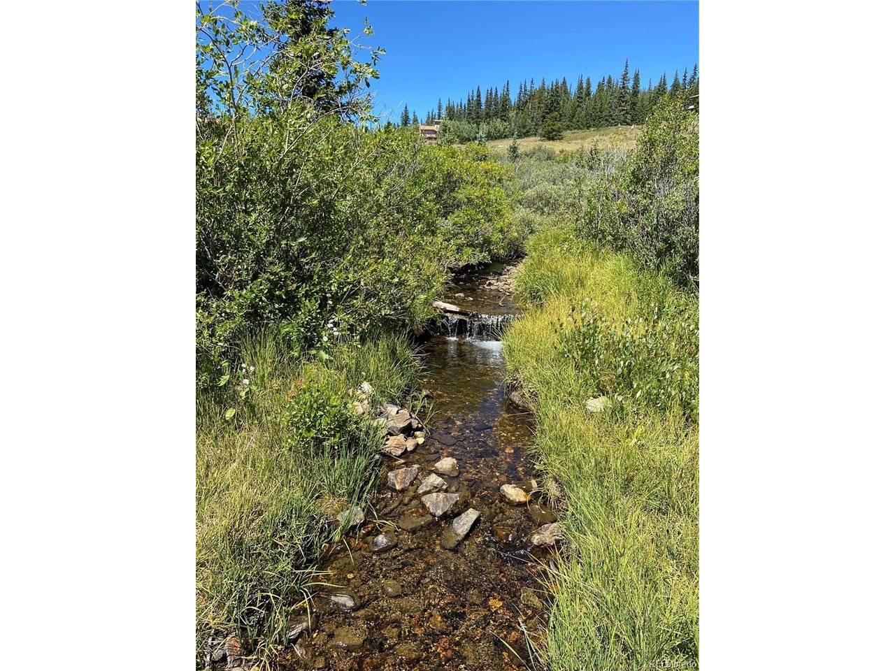 1180 Zebulon, Alma, CO 80420