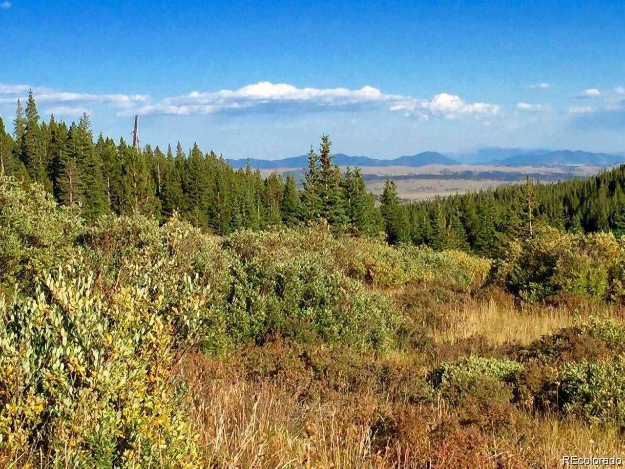 1180 Zebulon, Alma, CO 80420