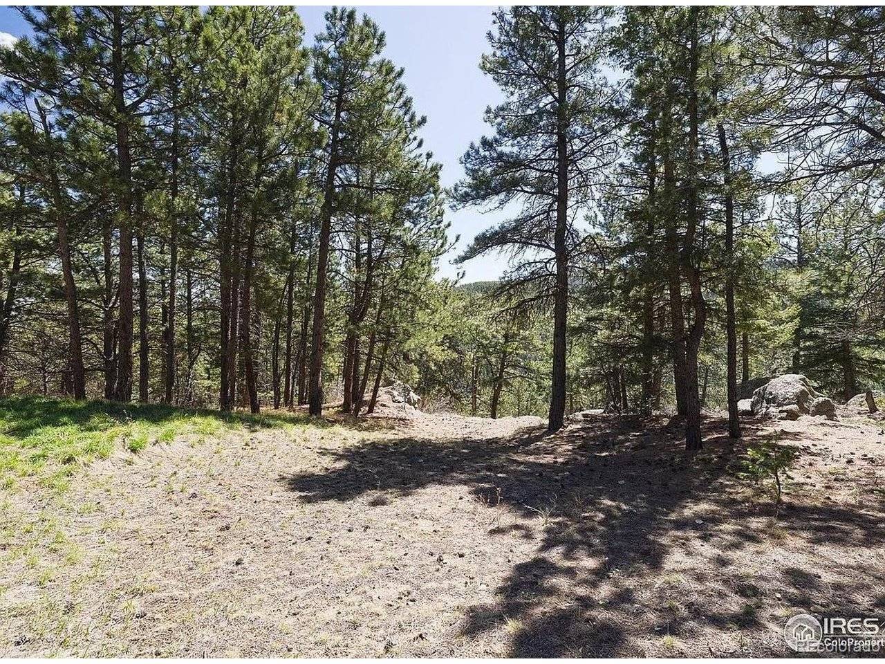 213 Rocky Knob, Nederland, CO 80466