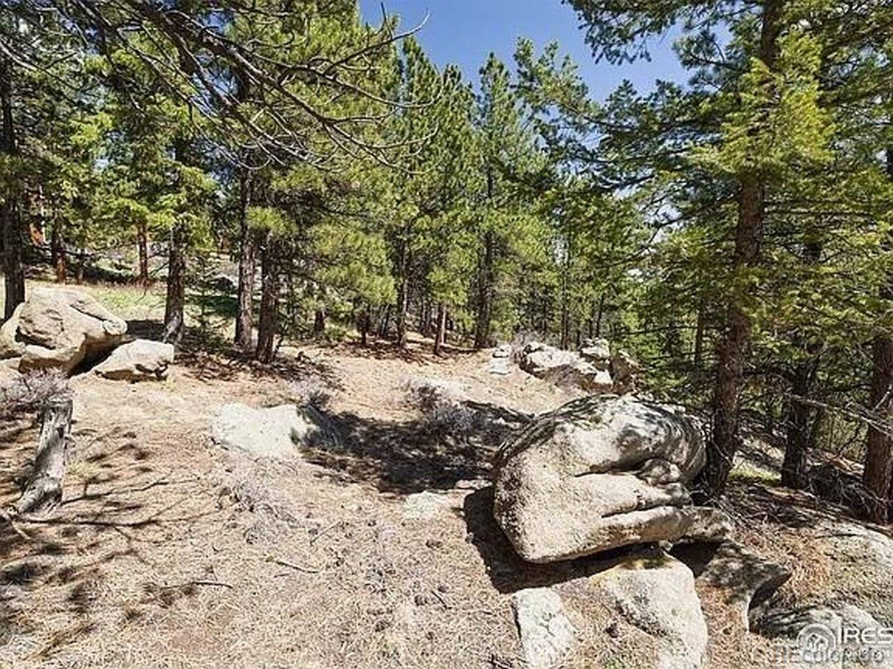 213 Rocky Knob, Nederland, CO 80466