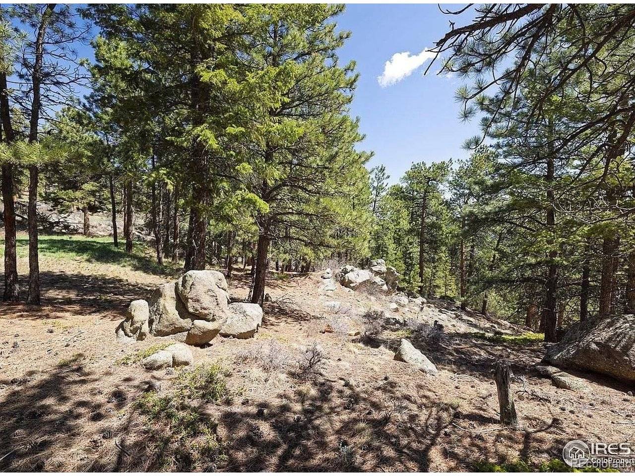 213 Rocky Knob, Nederland, CO 80466