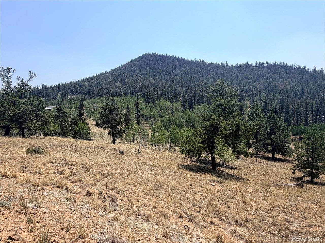 234 Warclub, Jefferson, CO 80456