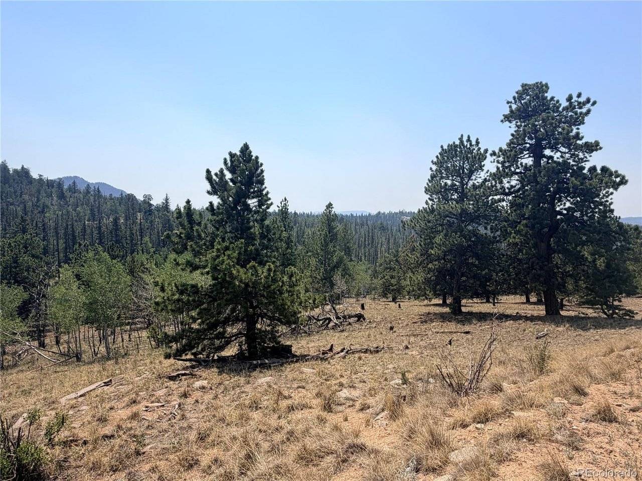 234 Warclub, Jefferson, CO 80456