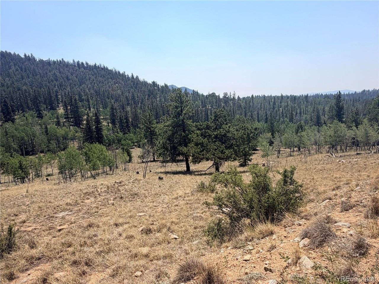 234 Warclub, Jefferson, CO 80456