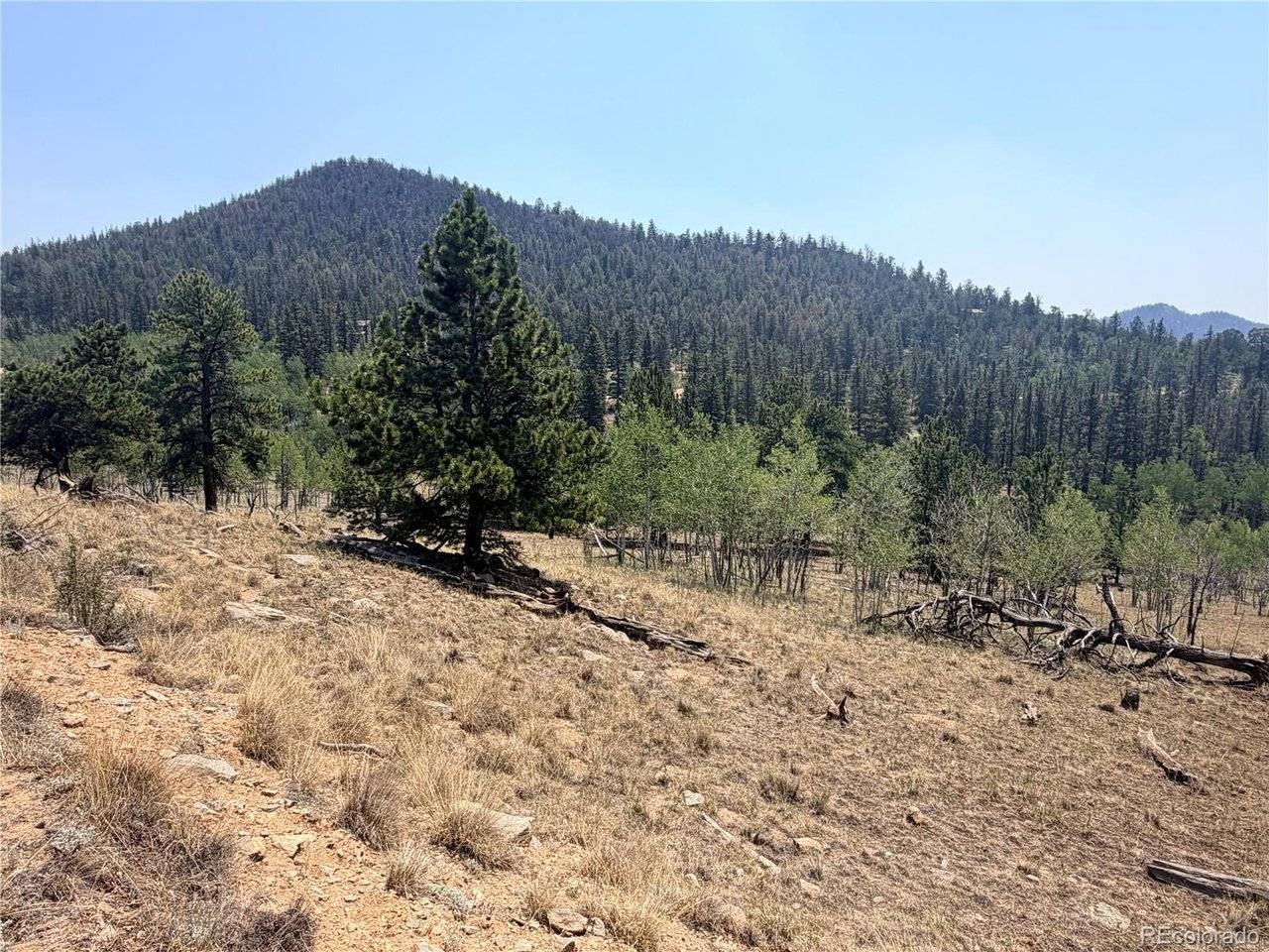 234 Warclub, Jefferson, CO 80456
